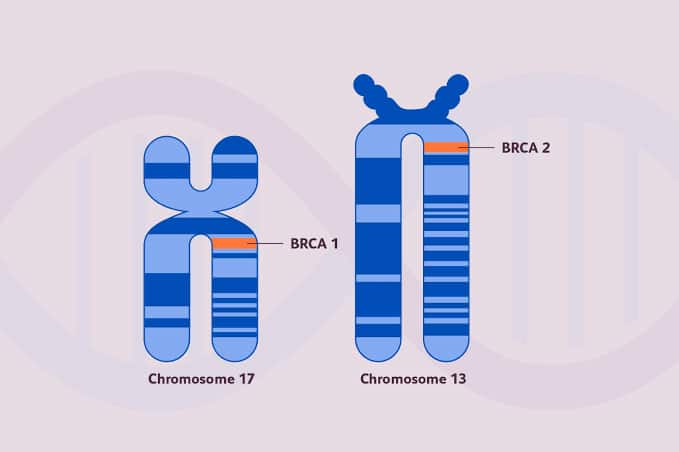 Мутации в гене BRCA2